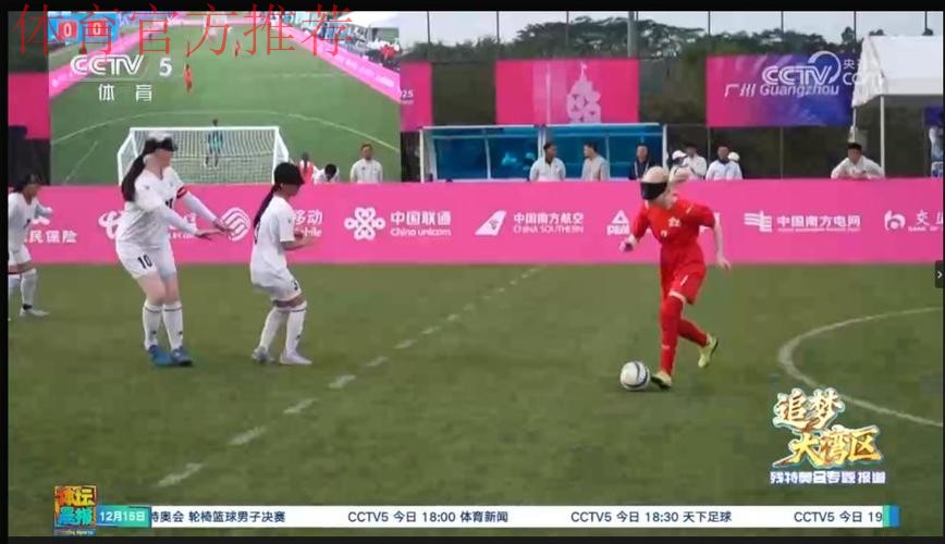 五战全胜 云南队斩获盲人足球女子组冠军